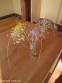Цибуля жовта (Allium flavum) - 4